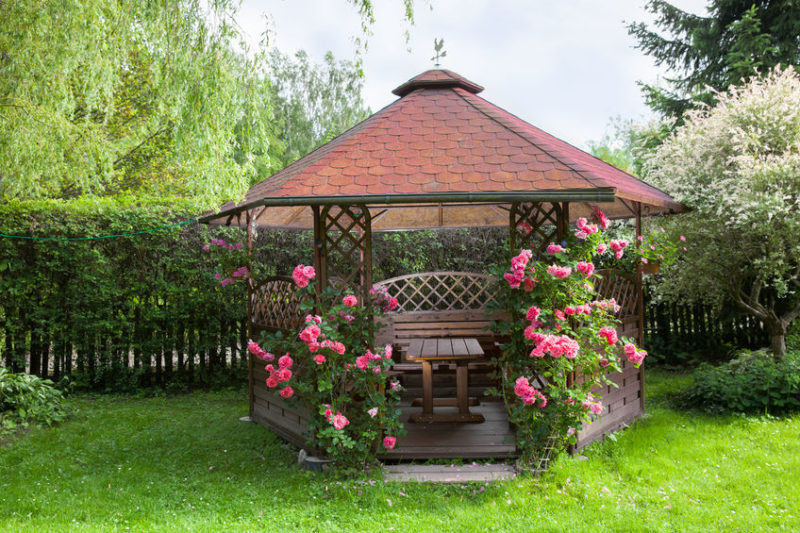 Outdoor wooden gazebo with roses - patio covers