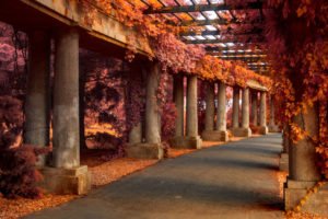 Concrete pergola