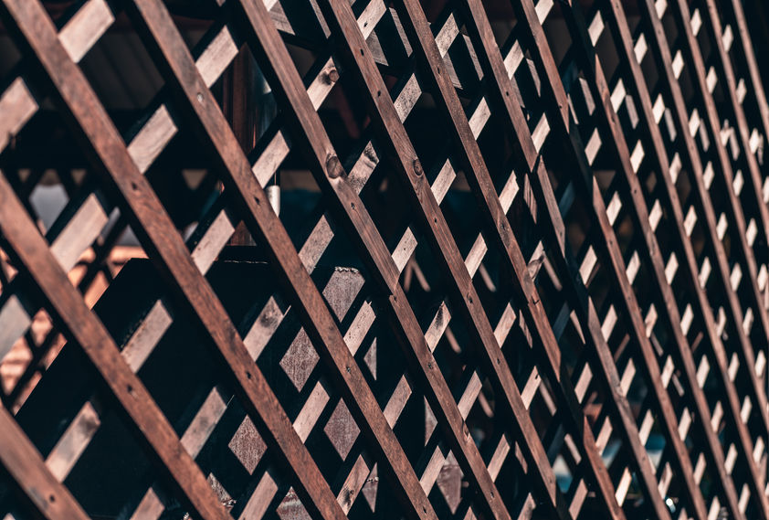 Outdoor wooden fence trellis battens AZENCO International Pergola