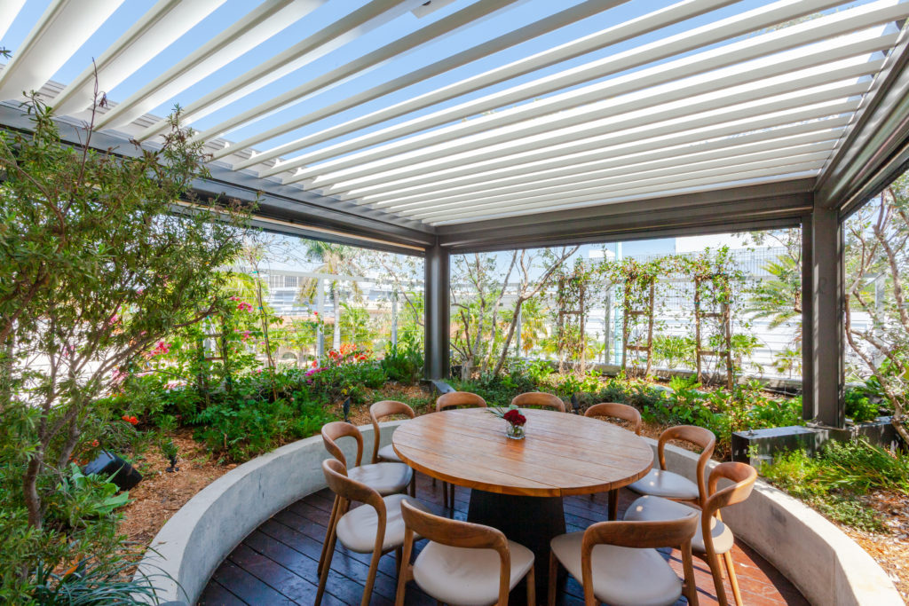 Rooftop garden with louvered pergola