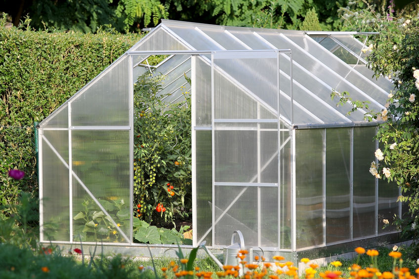 Green house as patio cover