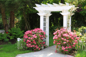 wooden arbor with trellis