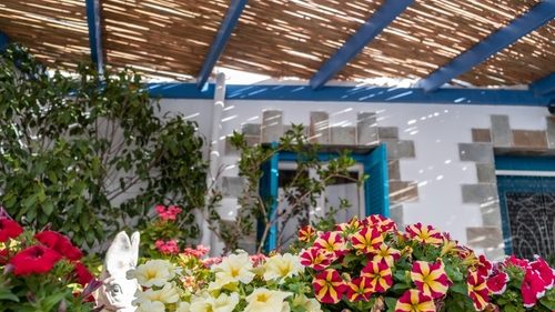 traditional wood pergola in Greece - Cyclades