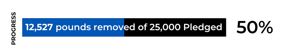 removing 12,500 pounds of plastic from the ocean Azenco is 4ocean certified partner - WorldOcean Day 06/08