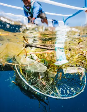 plastic crisis in the oceans