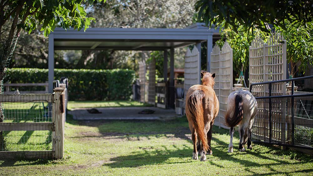 Horses shade with a insulated roof aluminum pergola - Azenco