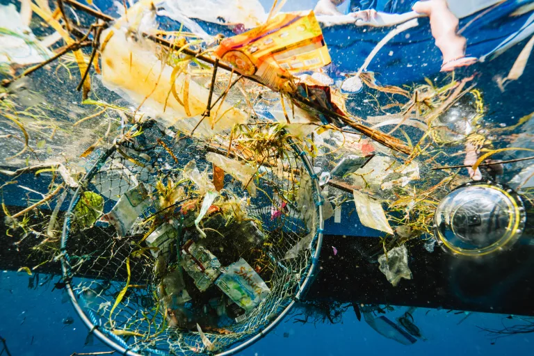 close up shot of waste floating in the water