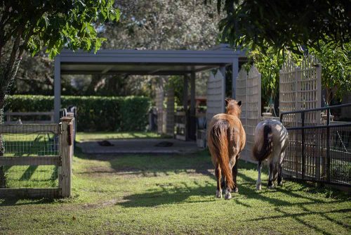 Custom aluminum solid roof pergola for horse sun and rain protection - Azenco Outdoor